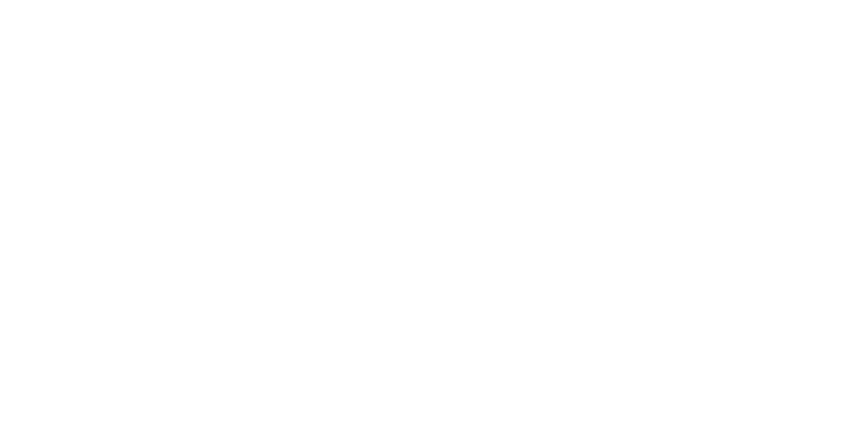 Peplink Logo