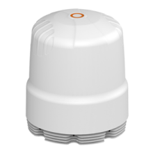 A-RIPL-Featured-Image-300x300