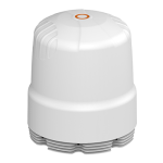 A-RIPL-V1-01-Featured-Image