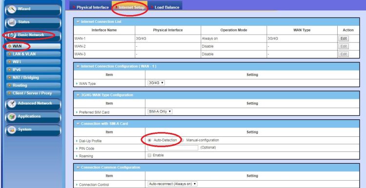 AMIT Dynamic IP Setup Screen