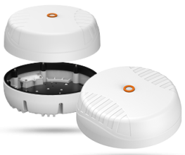 Poynting-Vertical-Catergory-Product-Swirl